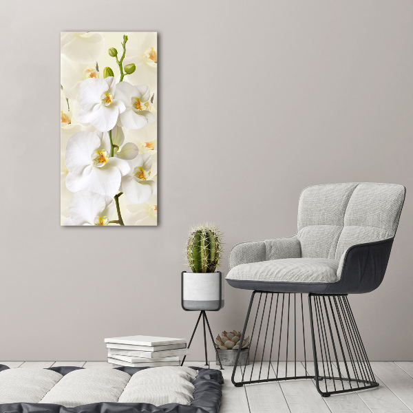 Verticale glasfoto Witte orchidee