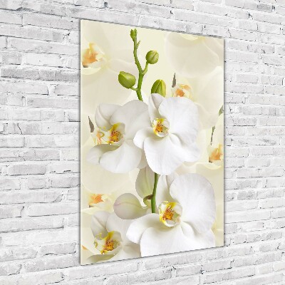 Verticale glasfoto Witte orchidee