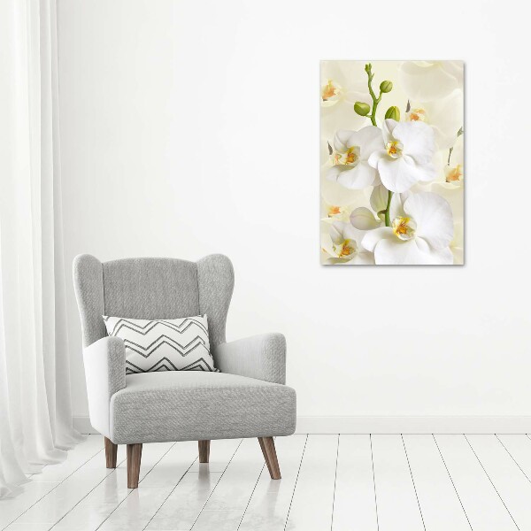 Verticale glasfoto Witte orchidee