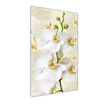 Verticale glasfoto Witte orchidee