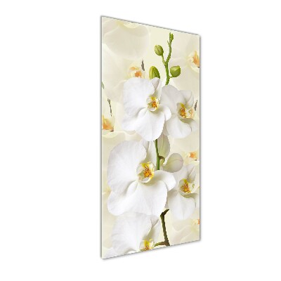 Verticale glasfoto Witte orchidee