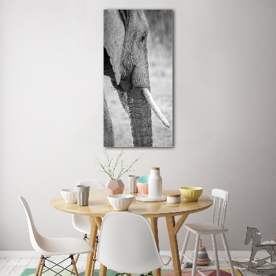Verticale glasfoto Olifant