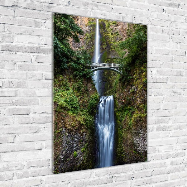 Verticale foto op glas Waterval