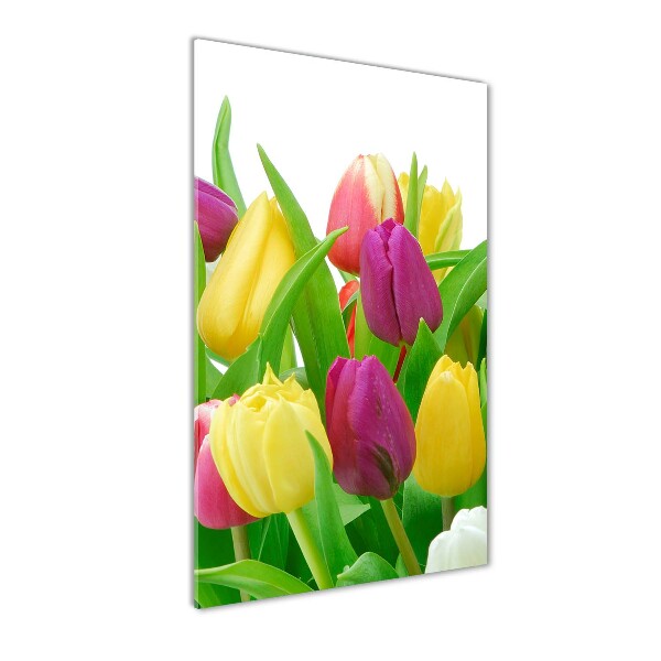 Verticale glasfoto Kleurrijke tulpen