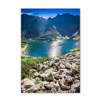 Verticale foto op glas Zwarte vijver Tatra-gebergte