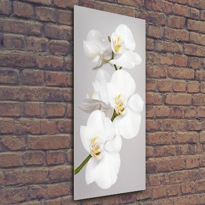 Verticale glasfoto Witte orchidee