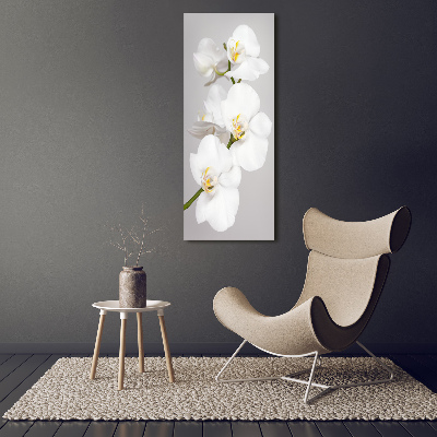 Verticale glasfoto Witte orchidee