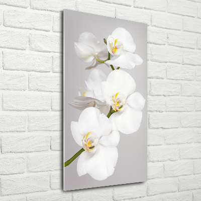 Verticale glasfoto Witte orchidee