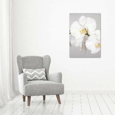 Verticale glasfoto Witte orchidee