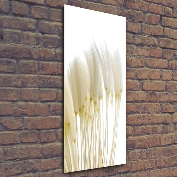 Verticale foto op glas Paardenbloemzaden