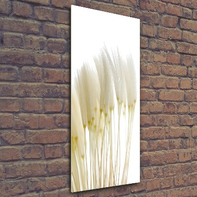 Verticale foto op glas Paardenbloemzaden