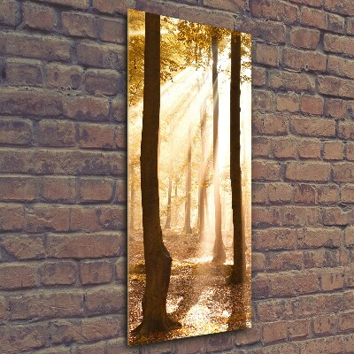 Verticaal glasschilderij Bos in de herfst
