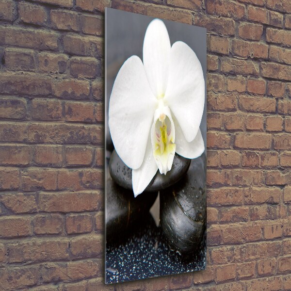 Verticale glasfoto Orchidee en stenen