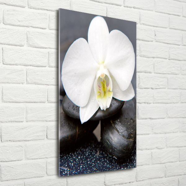 Verticale glasfoto Orchidee en stenen