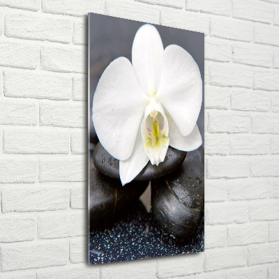 Verticale glasfoto Orchidee en stenen