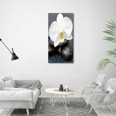 Verticale glasfoto Orchidee en stenen