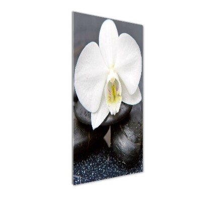 Verticale glasfoto Orchidee en stenen