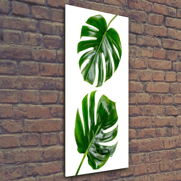 Verticale glasfoto Monstera