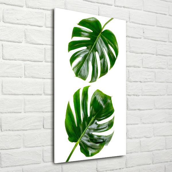 Verticale glasfoto Monstera