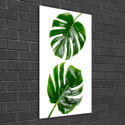 Verticale glasfoto Monstera