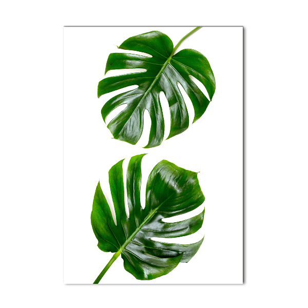 Verticale glasfoto Monstera