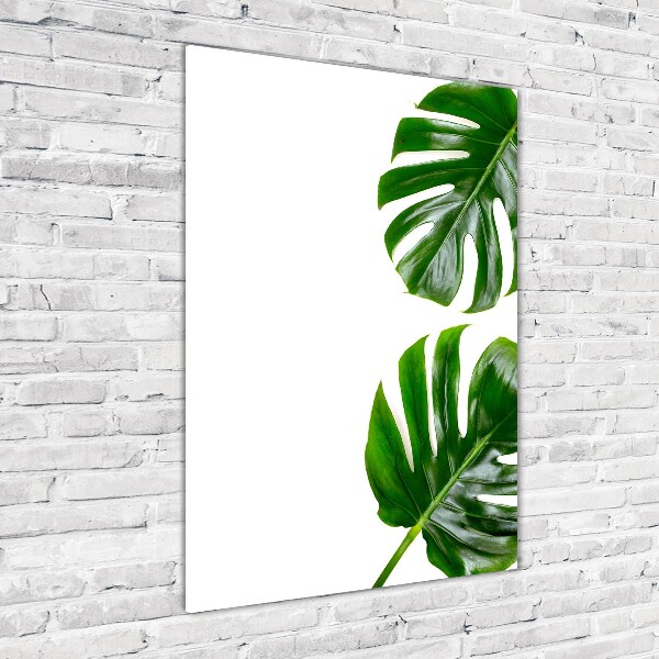 Verticale glasfoto Monstera
