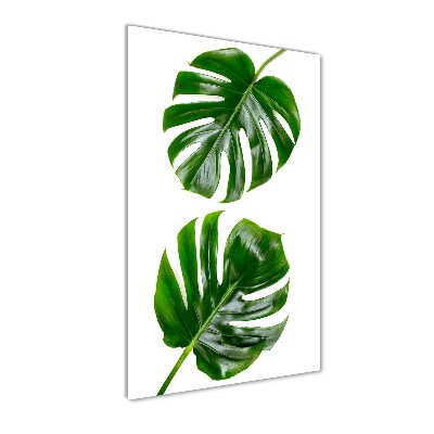 Verticale glasfoto Monstera