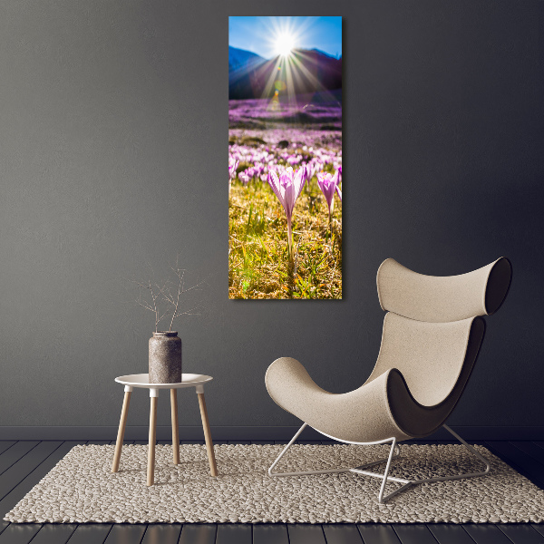 Verticale glasfoto Krokussen in de bergen