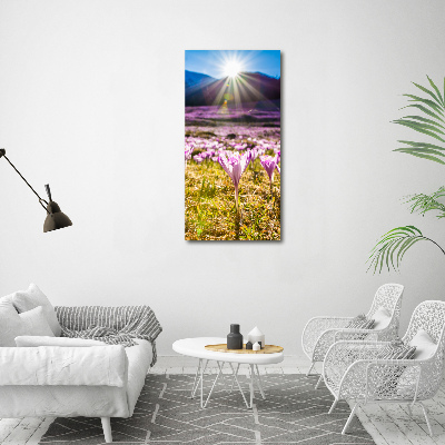 Verticale glasfoto Krokussen in de bergen