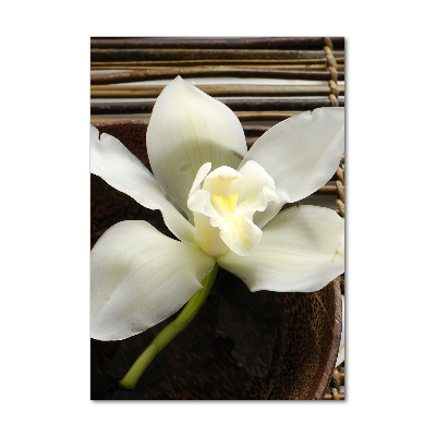 Verticale foto op glas Orchidee