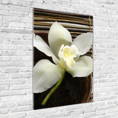 Verticale foto op glas Orchidee