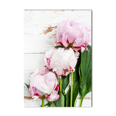 Verticale foto op glas Pioen