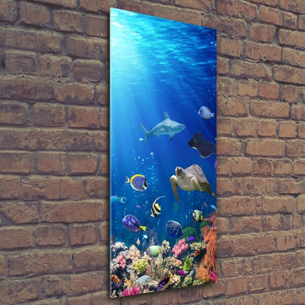 Verticaal glasschilderij Koraalrif