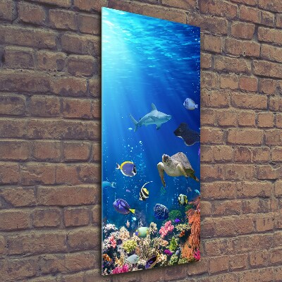 Verticaal glasschilderij Koraalrif
