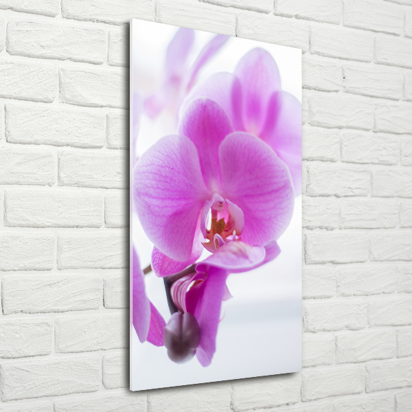 Verticaal glasschilderij Roze orchidee