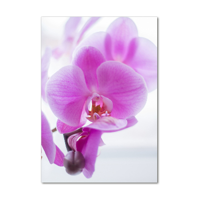 Verticaal glasschilderij Roze orchidee
