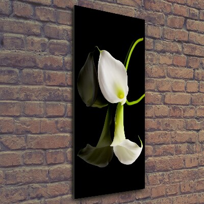 Verticale foto op glas Witte calla