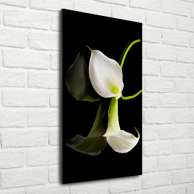 Verticale foto op glas Witte calla