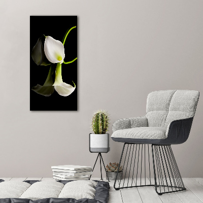 Verticale foto op glas Witte calla