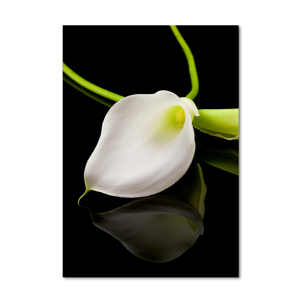Verticale foto op glas Witte calla
