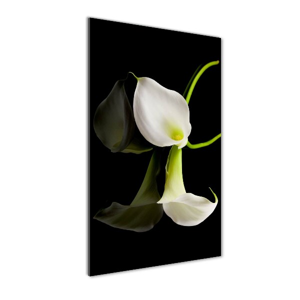 Verticale foto op glas Witte calla