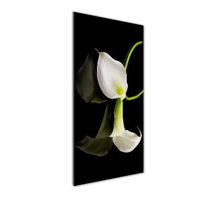 Verticale foto op glas Witte calla