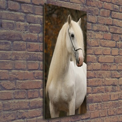 Verticale glasfoto Wit paard