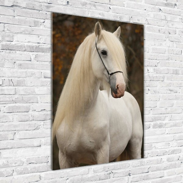 Verticale glasfoto Wit paard