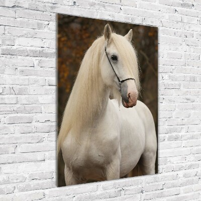 Verticale glasfoto Wit paard