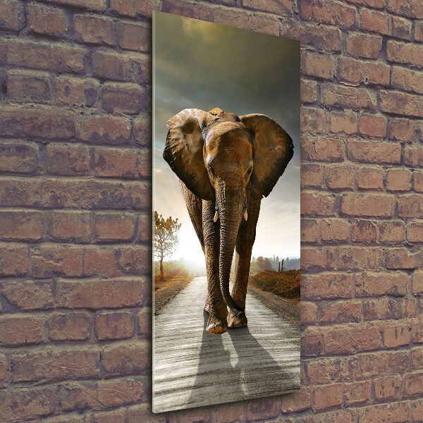 Verticale glasfoto Lopende olifant