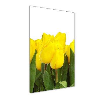 Verticale glasfoto Gele tulpen