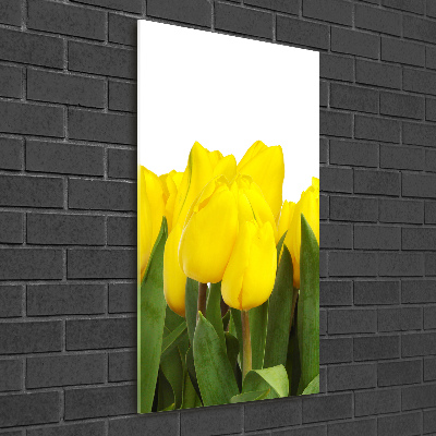 Verticale glasfoto Gele tulpen