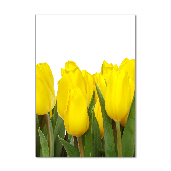 Verticale glasfoto Gele tulpen