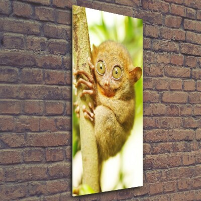 Verticaal glasschilderij Spooktarsier